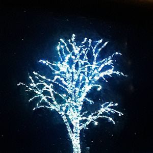 Meet your Posher, Tamara